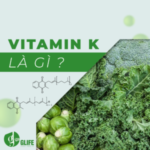 VITAMIN K: Công dụng, liều lượng và chế độ dinh dưỡng hợp lý